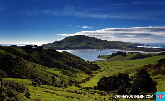 ve-may-bay-di-new-zealand-gia-re-3