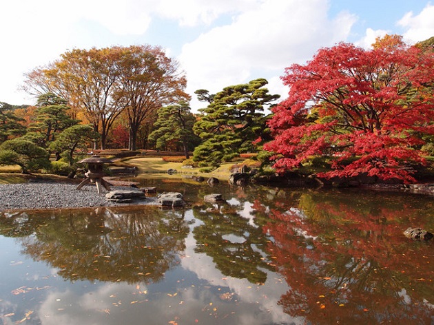Du lịch Tokyo rực rỡ mùa lá vàng