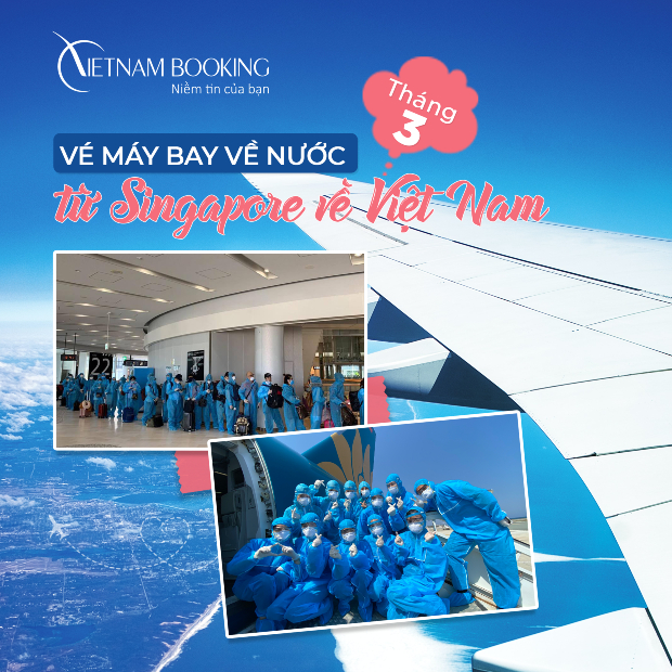 Lịch bay mới nhất các chuyến từ Singapore về Việt Nam